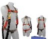 Harness